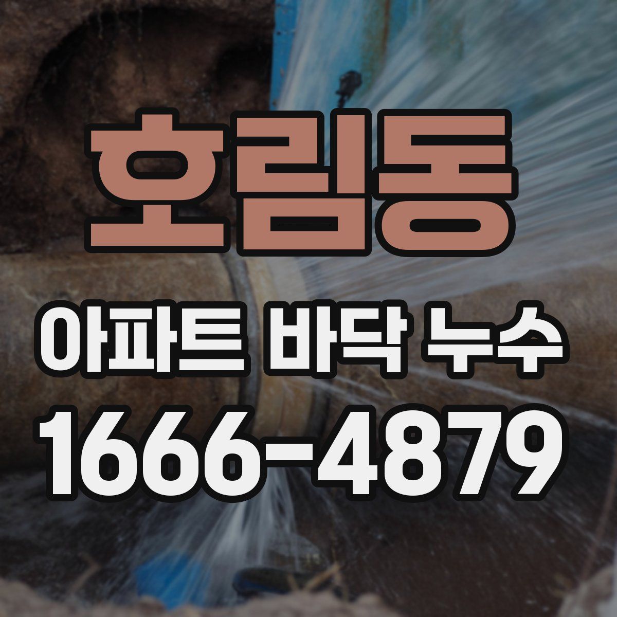 호림동 아파트 바닥 누수