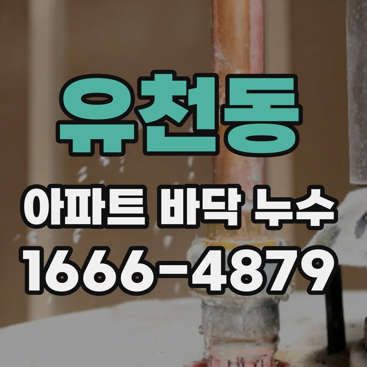 유천동 아파트 바닥 누수
