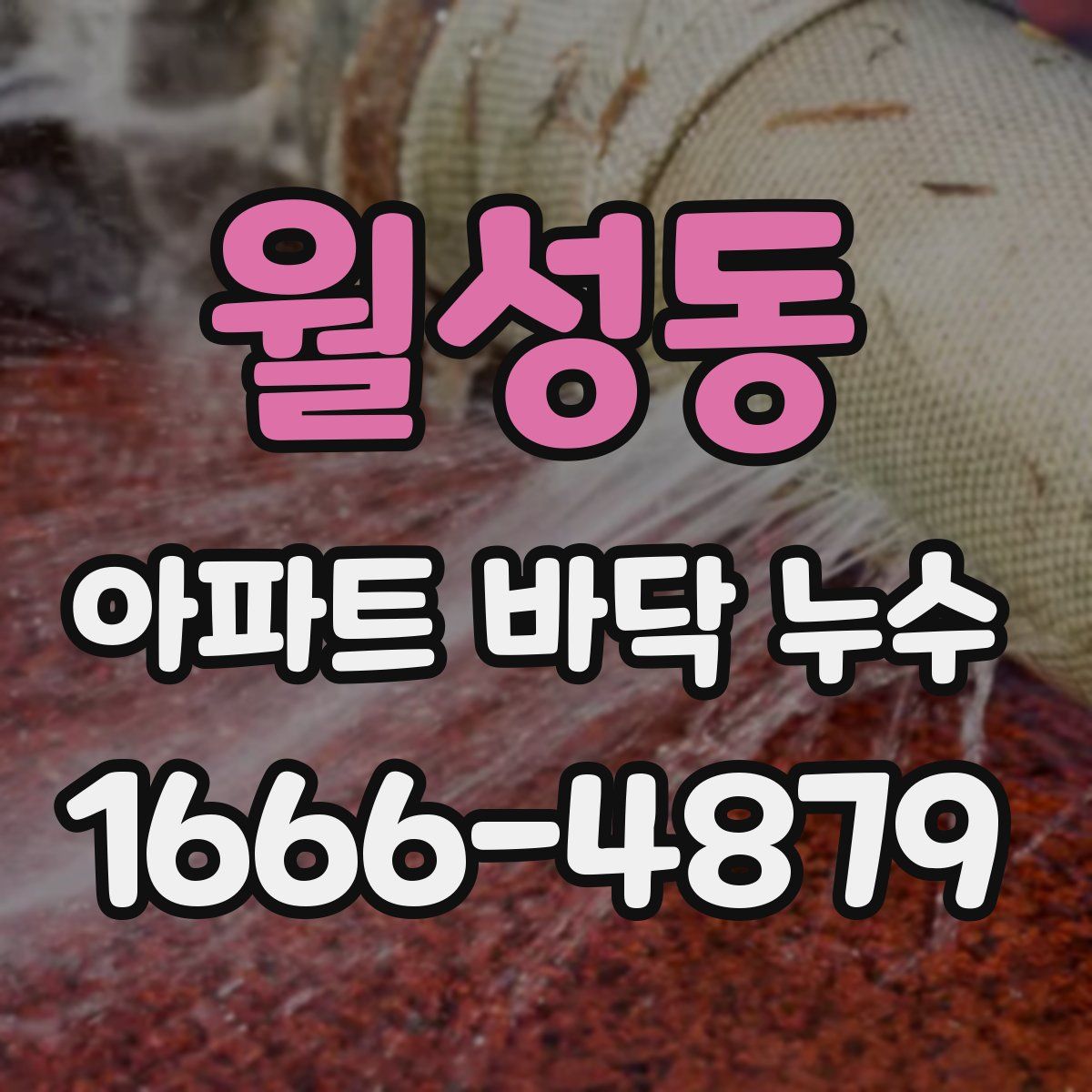 월성동 아파트 바닥 누수