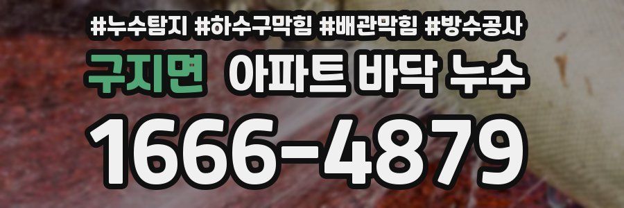 구지면 아파트 바닥 누수