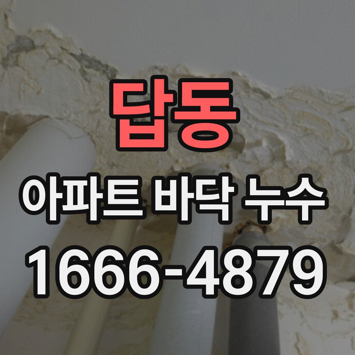 답동 아파트 바닥 누수