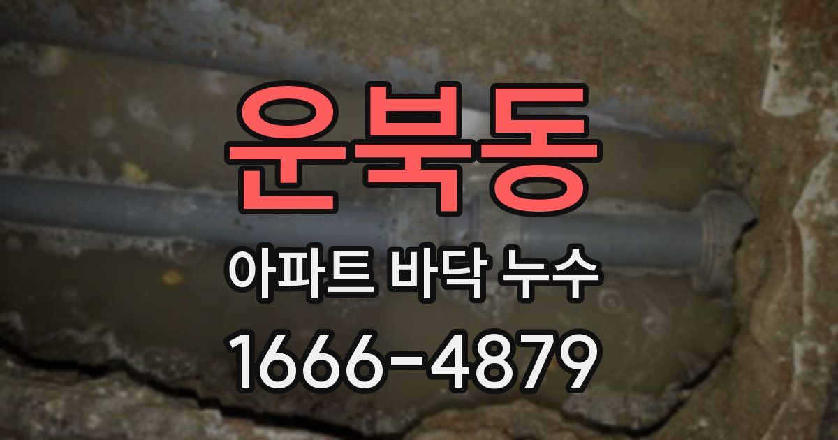 운북동 아파트 바닥 누수