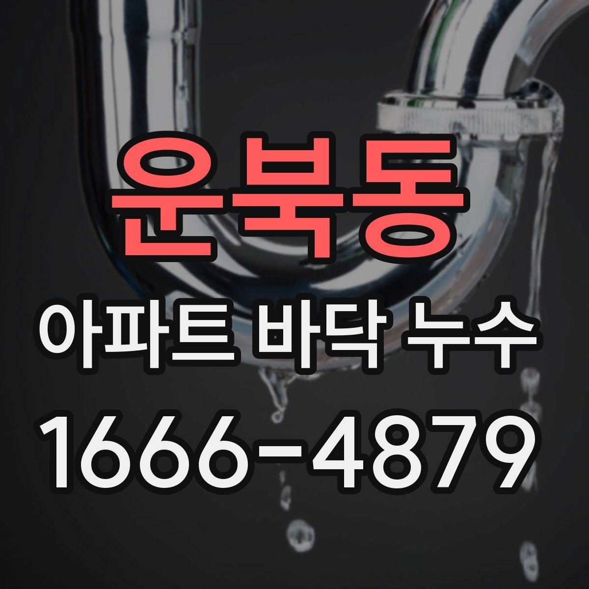 운북동 아파트 바닥 누수