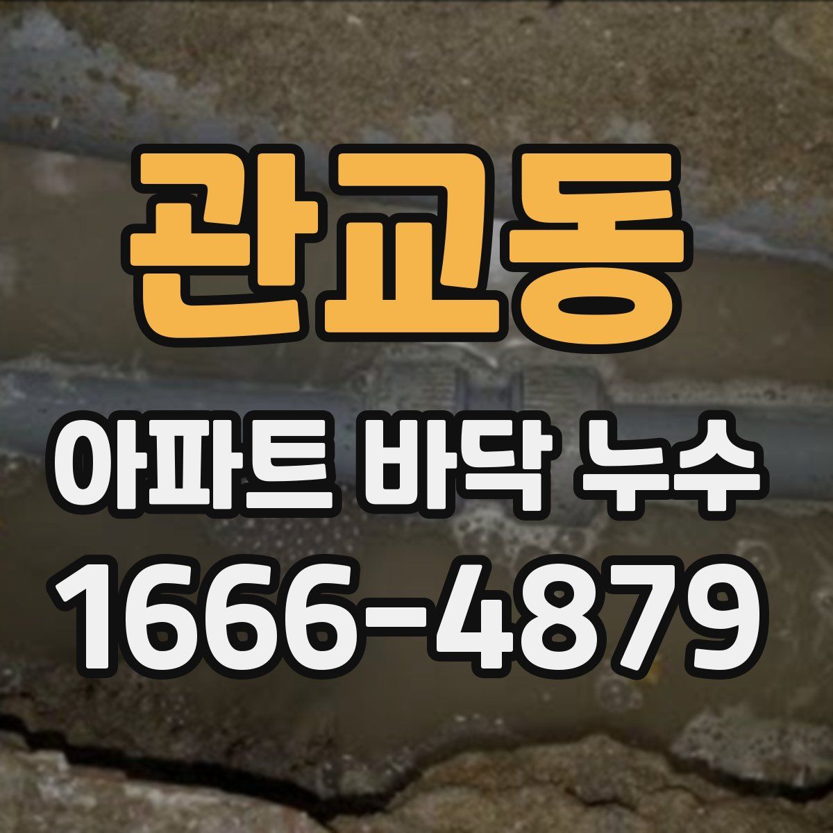 관교동 아파트 바닥 누수