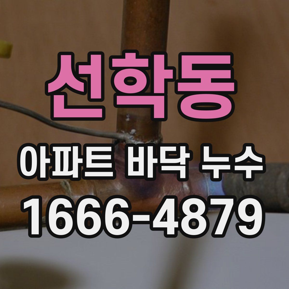 선학동 아파트 바닥 누수