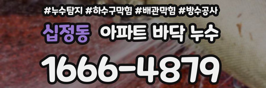십정동 아파트 바닥 누수