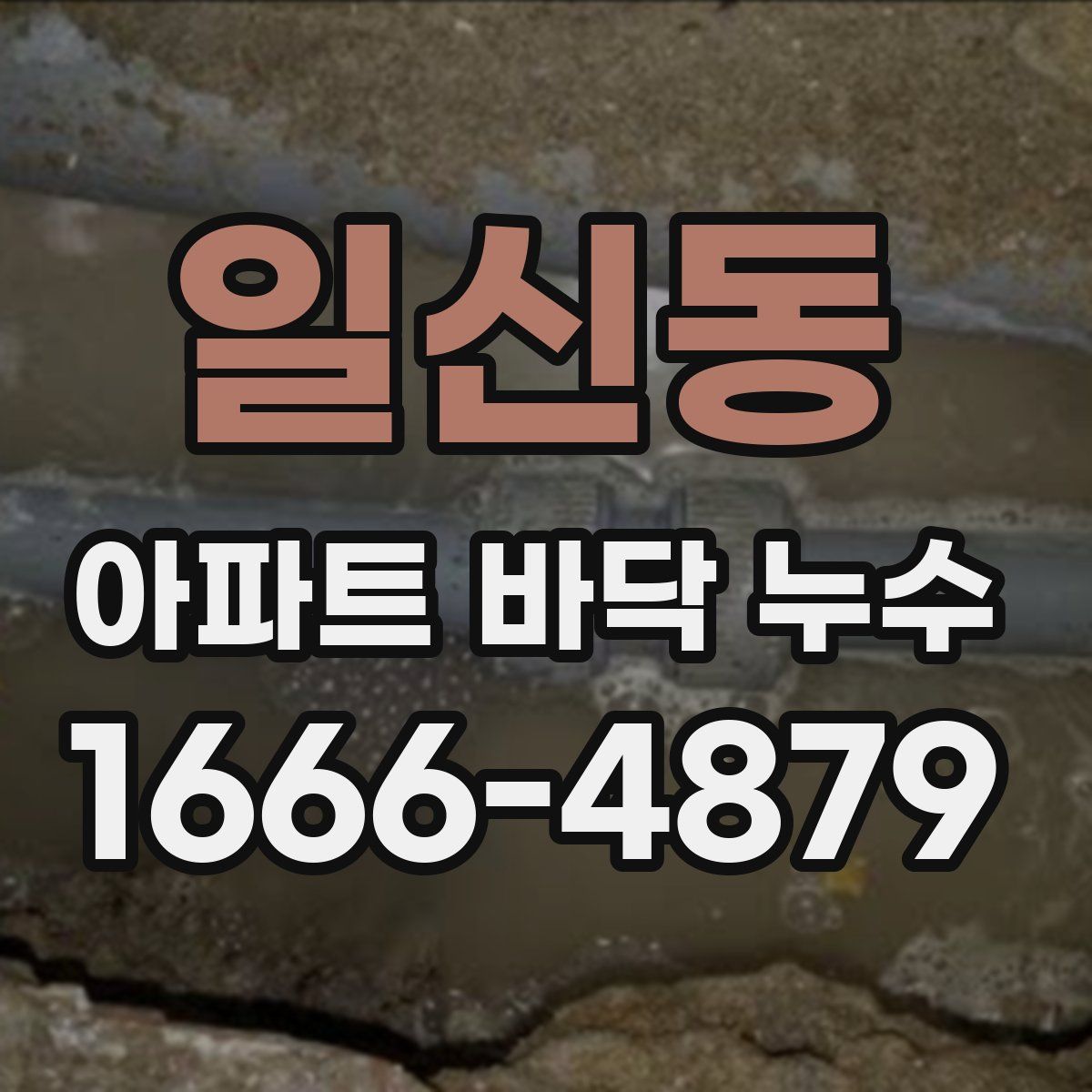 일신동 아파트 바닥 누수