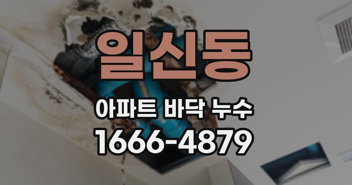 일신동 아파트 바닥 누수