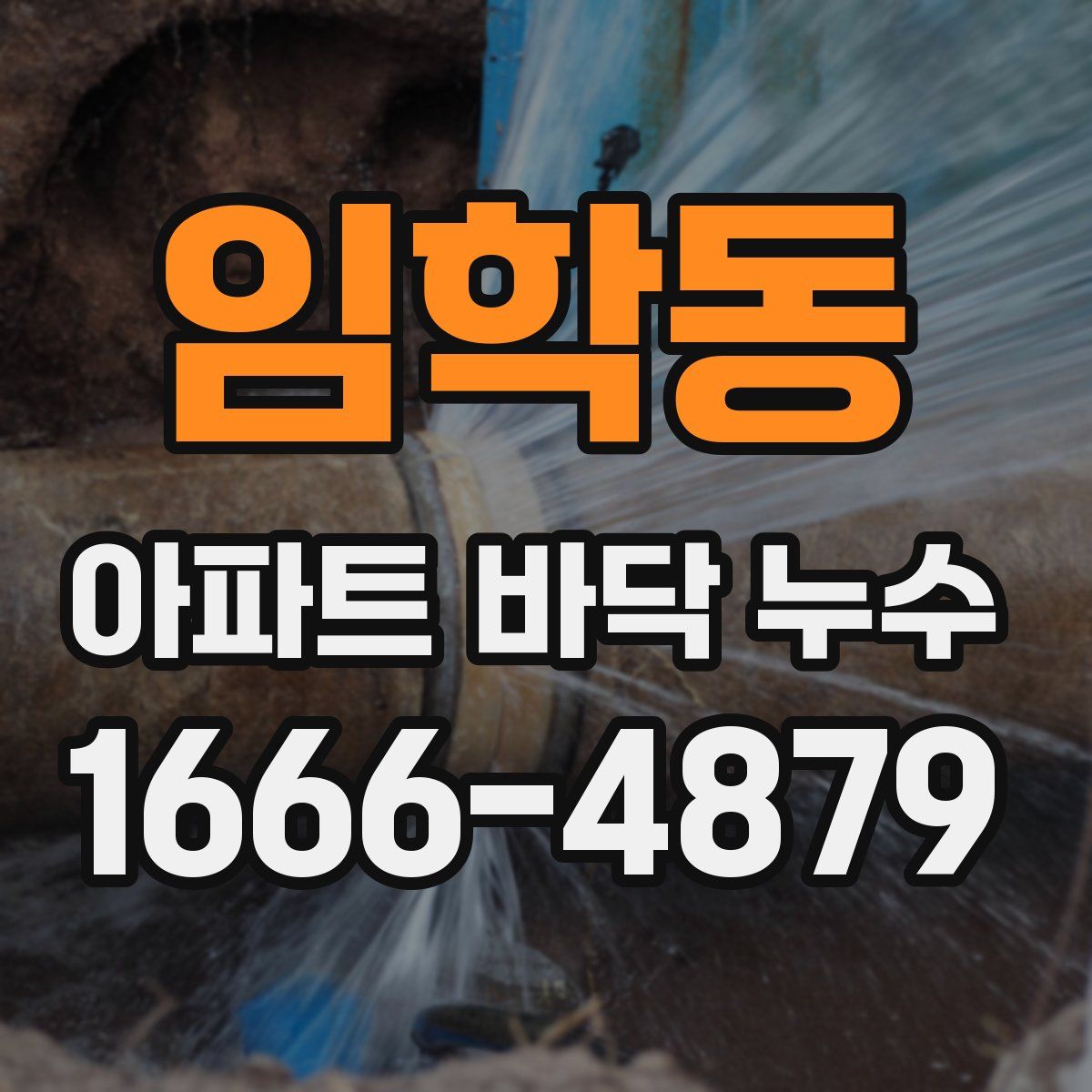 임학동 아파트 바닥 누수