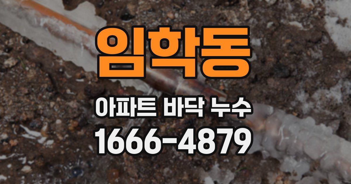 임학동 아파트 바닥 누수