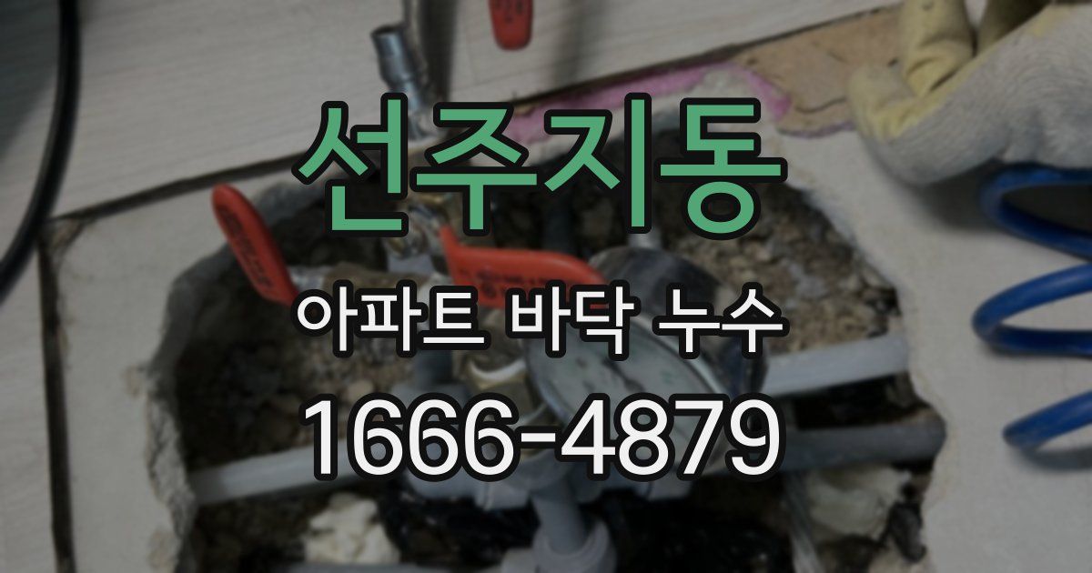 선주지동 아파트 바닥 누수