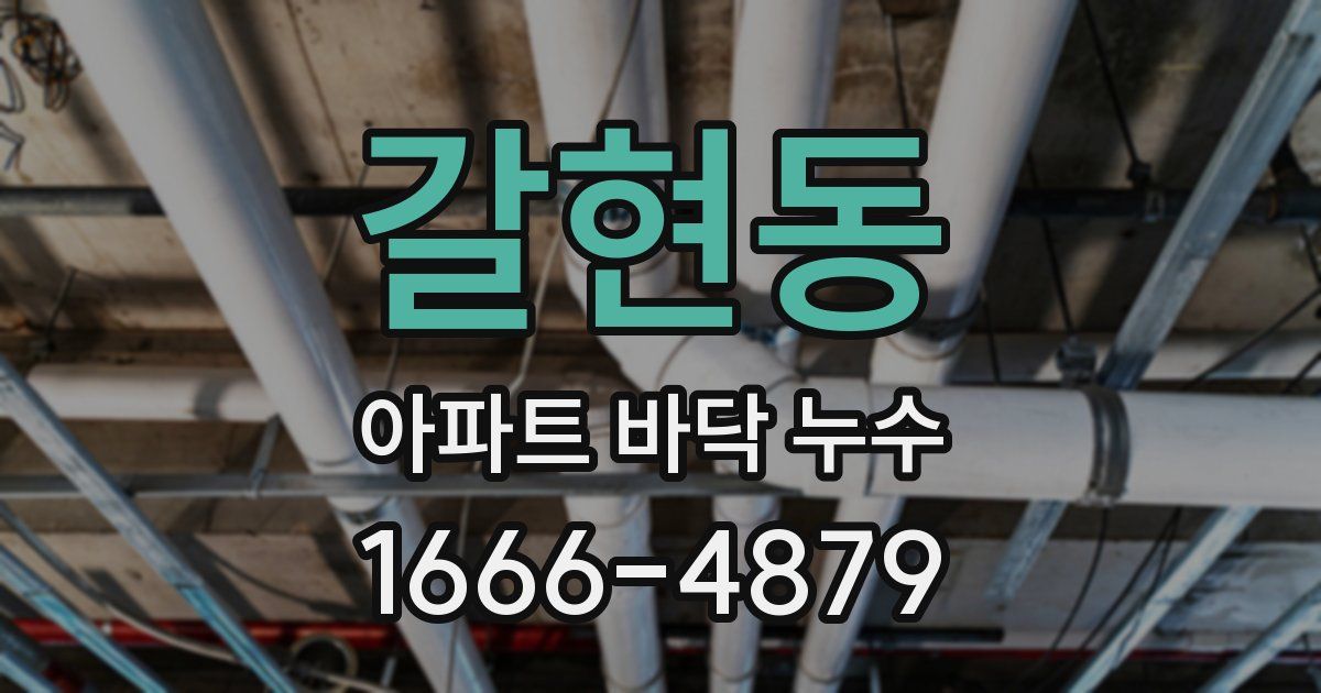 갈현동 아파트 바닥 누수