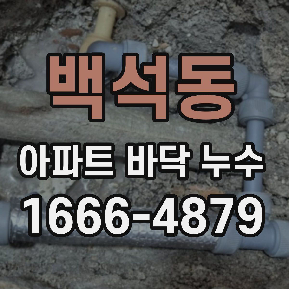 백석동 아파트 바닥 누수