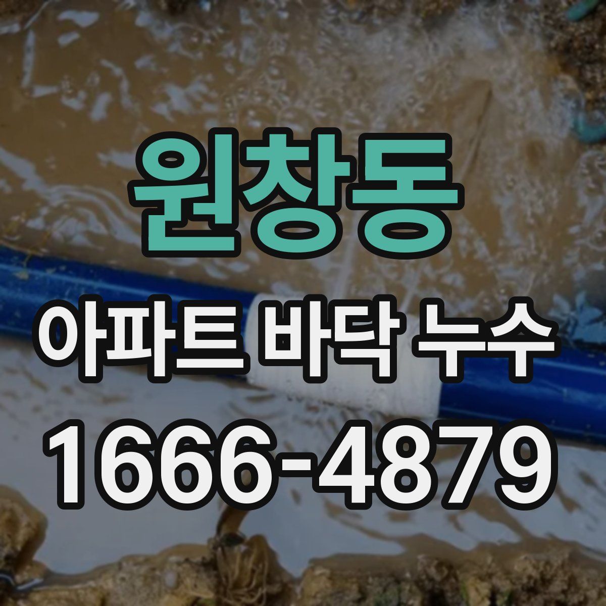 원창동 아파트 바닥 누수