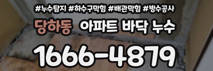 당하동 아파트 바닥 누수