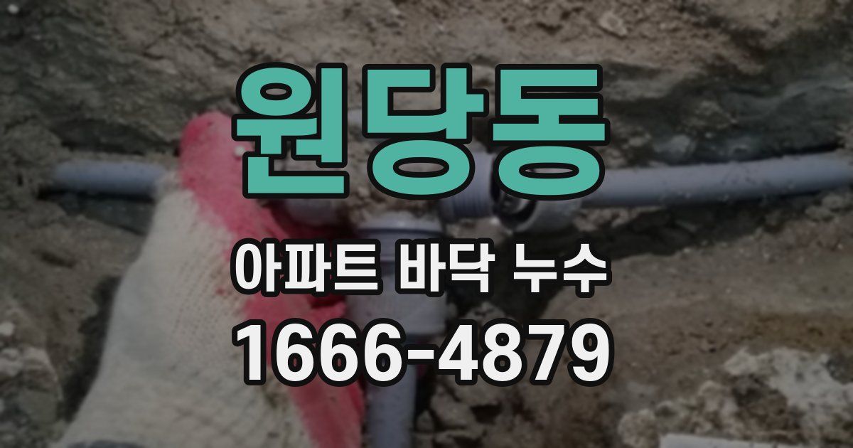 원당동 아파트 바닥 누수