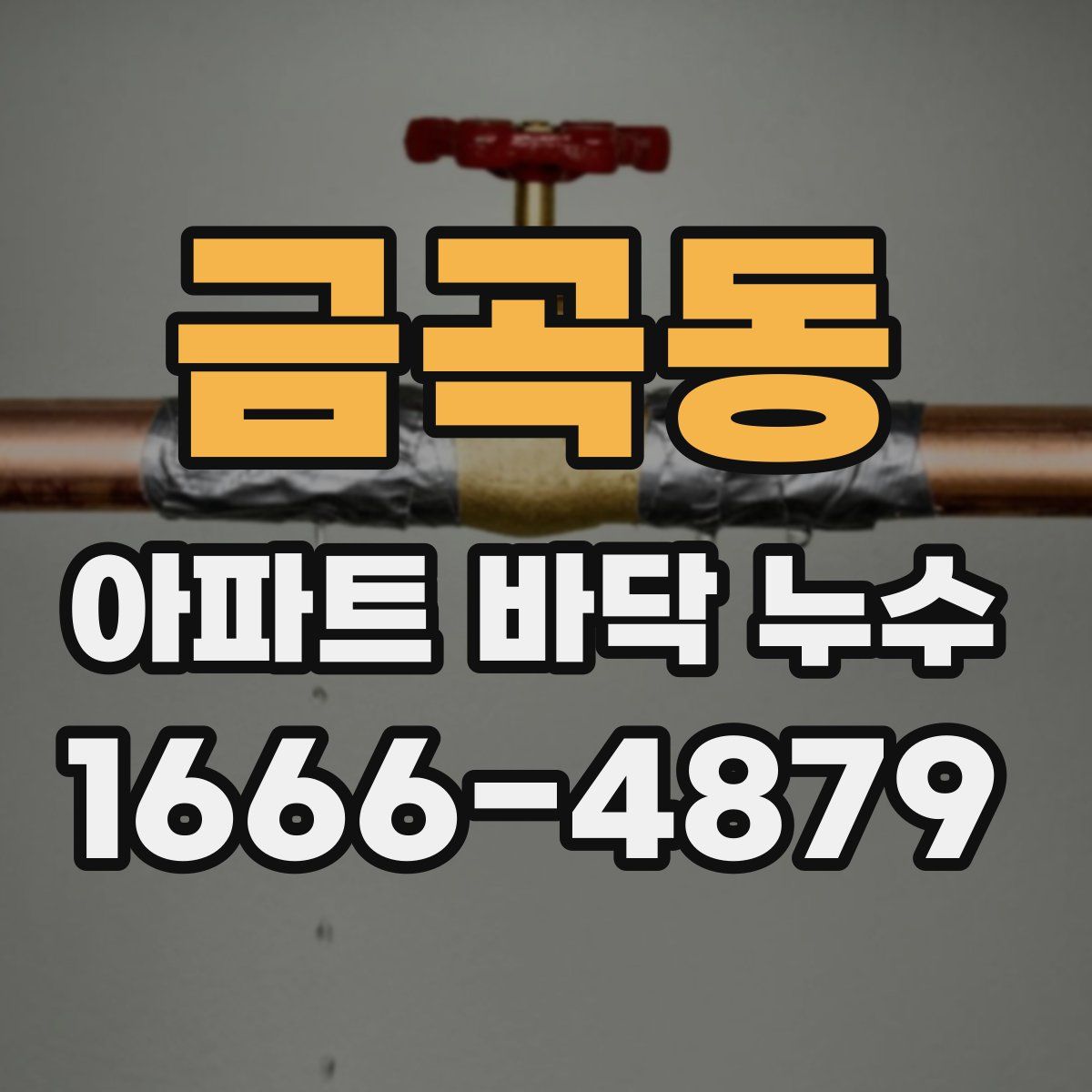 금곡동 아파트 바닥 누수