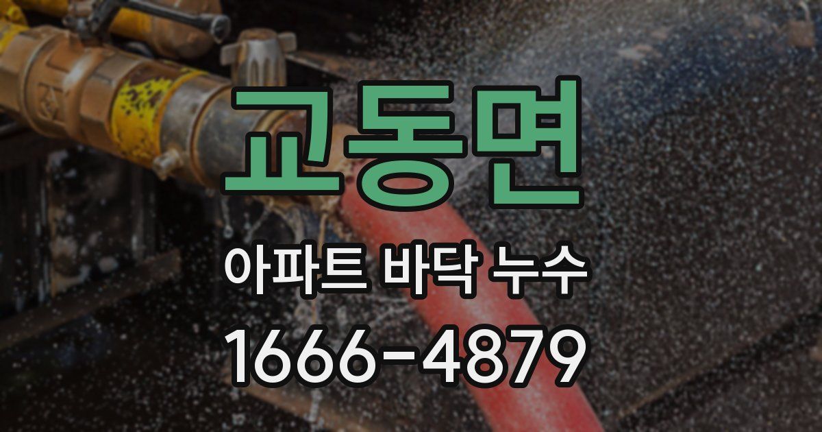 교동면 아파트 바닥 누수