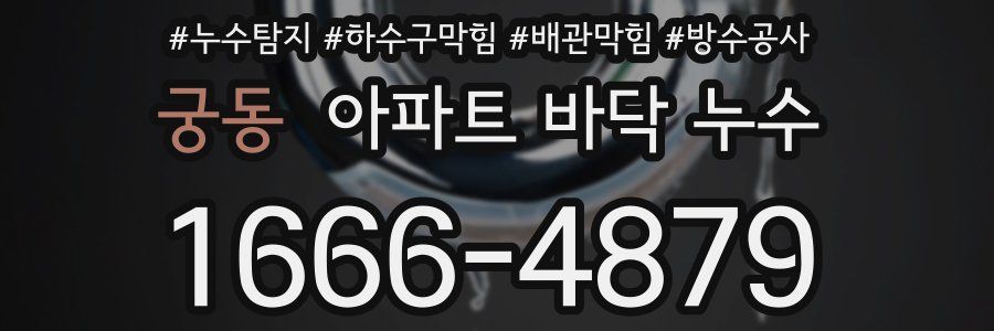 궁동 아파트 바닥 누수