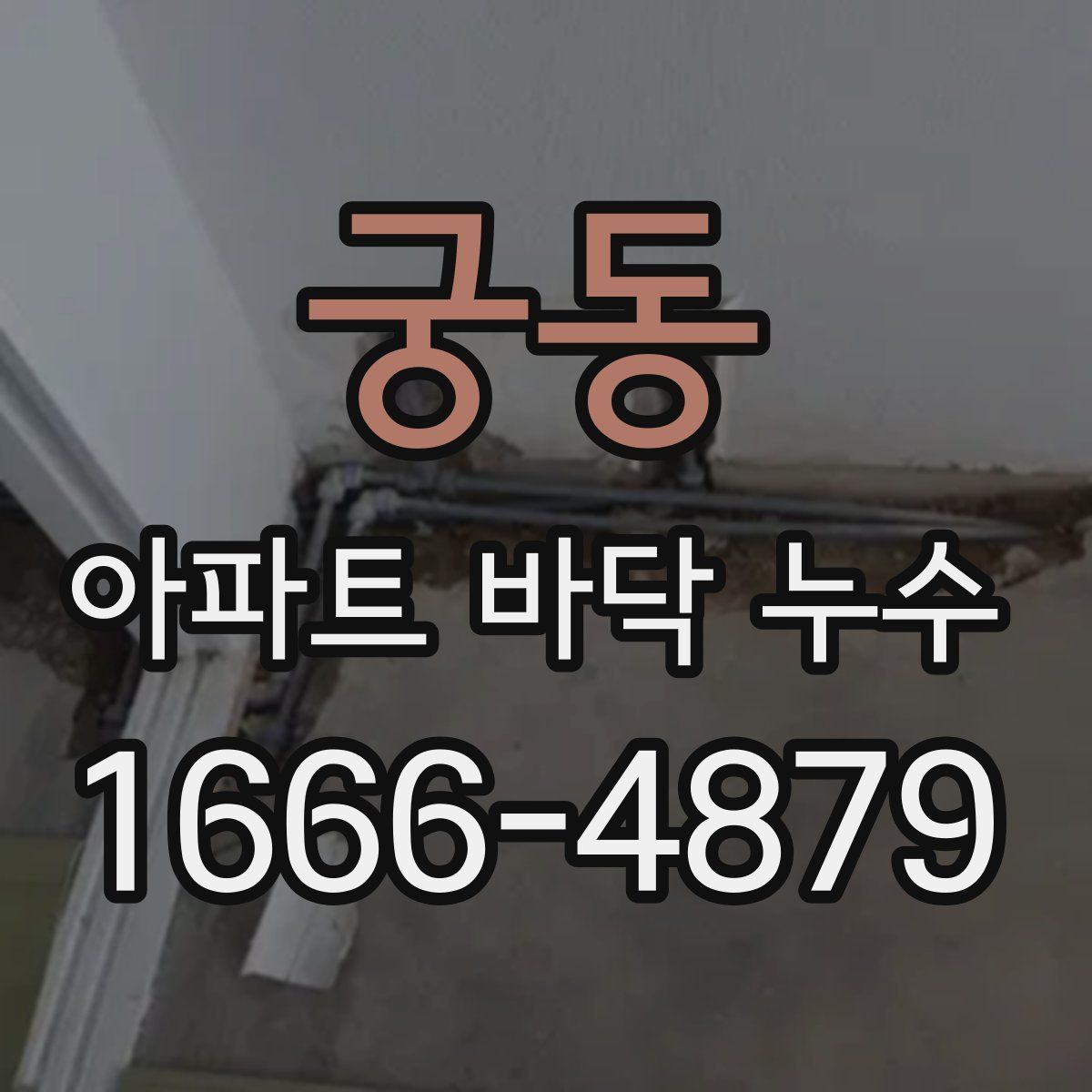 궁동 아파트 바닥 누수
