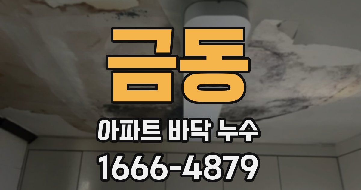금동 아파트 바닥 누수