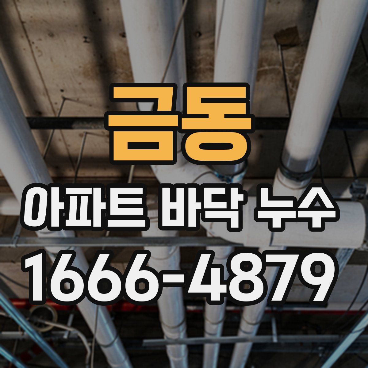 금동 아파트 바닥 누수