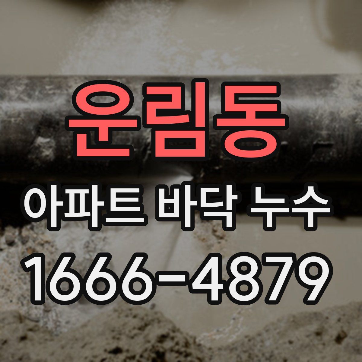 운림동 아파트 바닥 누수