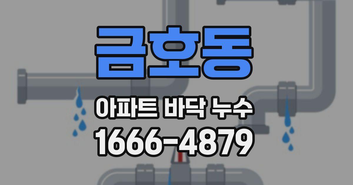 금호동 아파트 바닥 누수