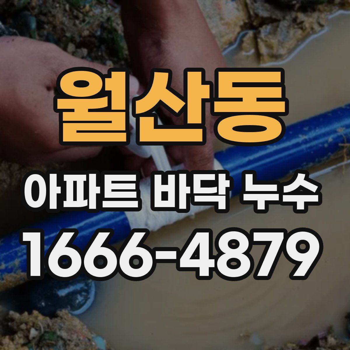월산동 아파트 바닥 누수