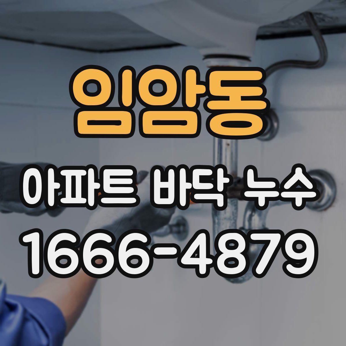 임암동 아파트 바닥 누수