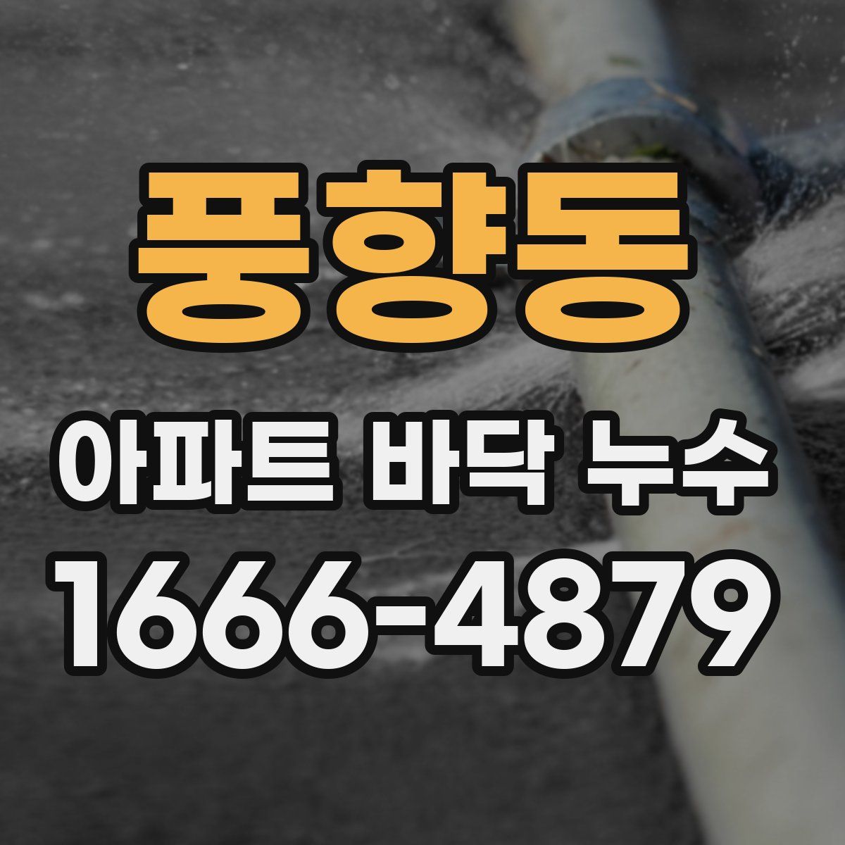 풍향동 아파트 바닥 누수