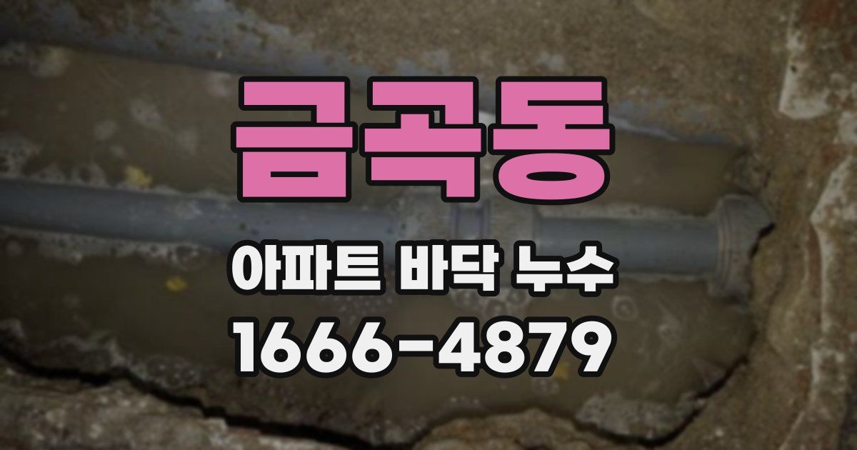 금곡동 아파트 바닥 누수
