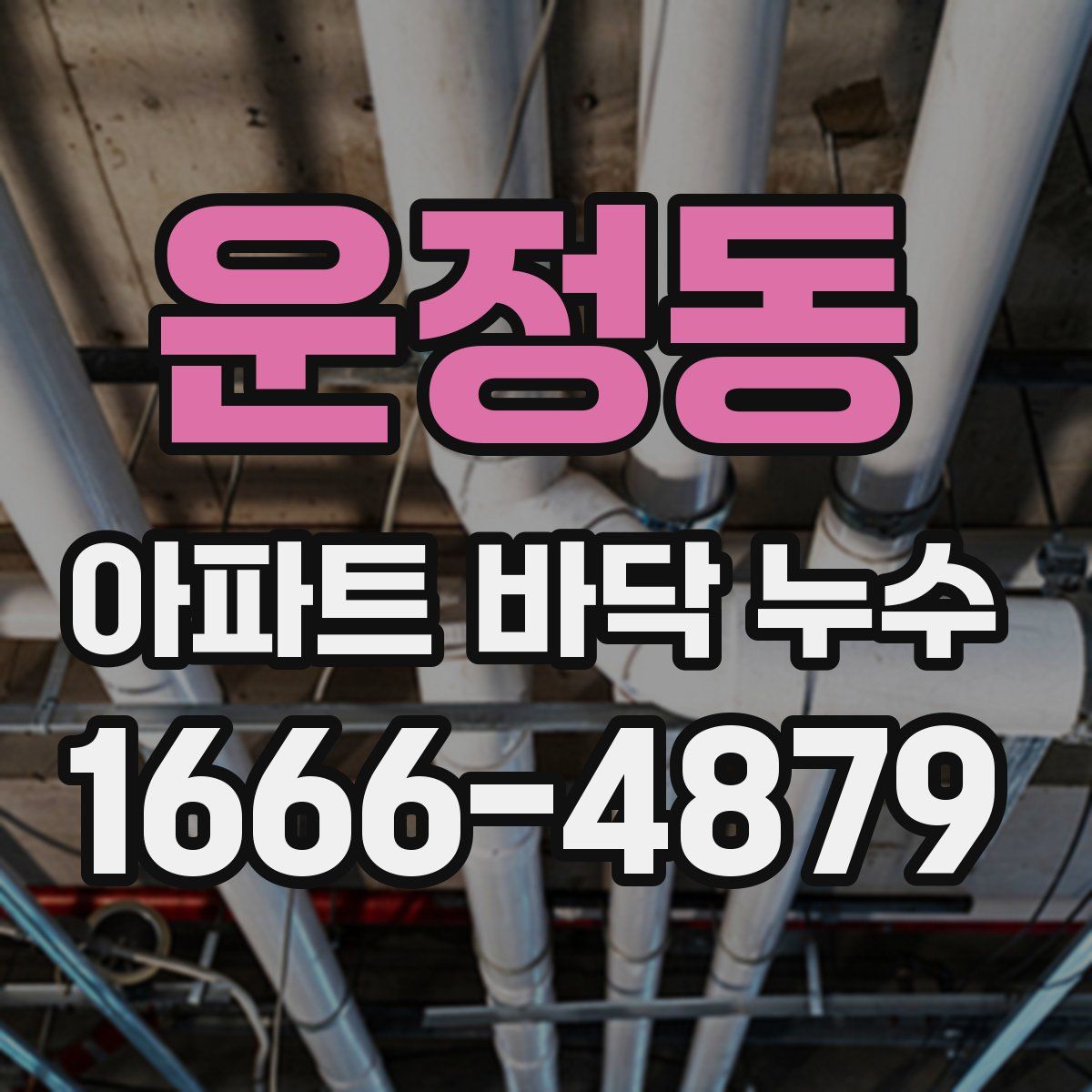 운정동 아파트 바닥 누수