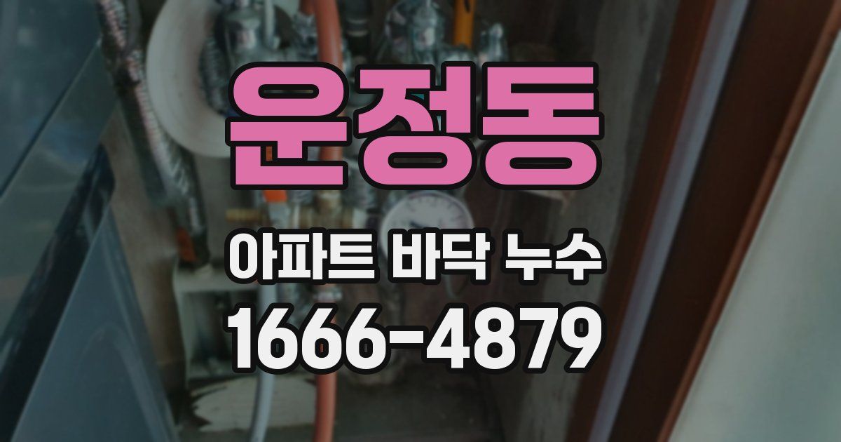 운정동 아파트 바닥 누수
