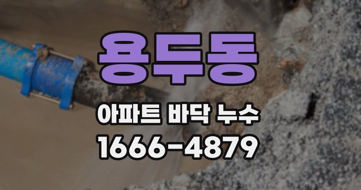 용두동 아파트 바닥 누수