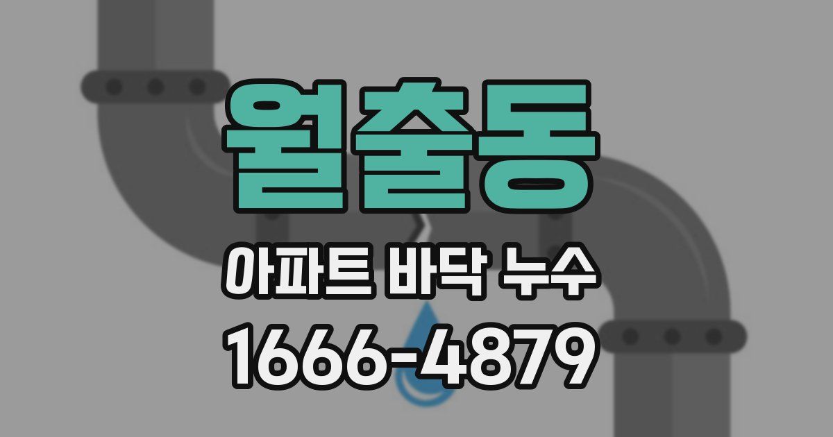 월출동 아파트 바닥 누수