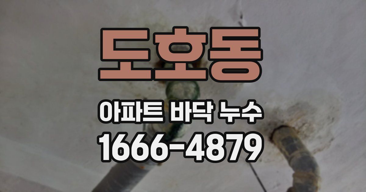 도호동 아파트 바닥 누수