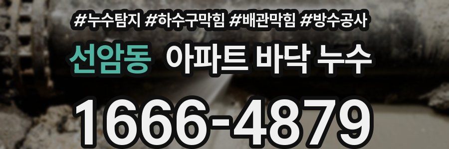 선암동 아파트 바닥 누수