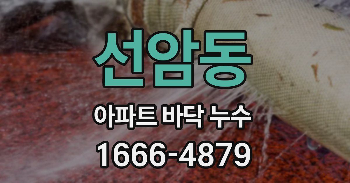 선암동 아파트 바닥 누수