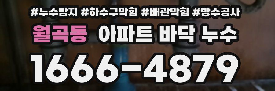 월곡동 아파트 바닥 누수