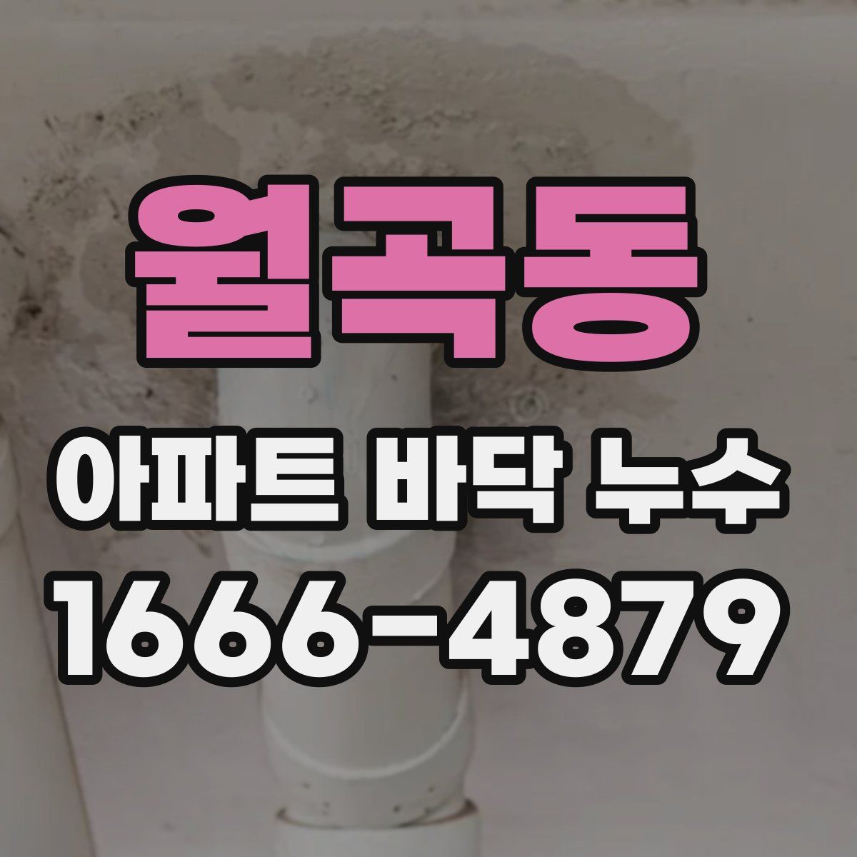 월곡동 아파트 바닥 누수