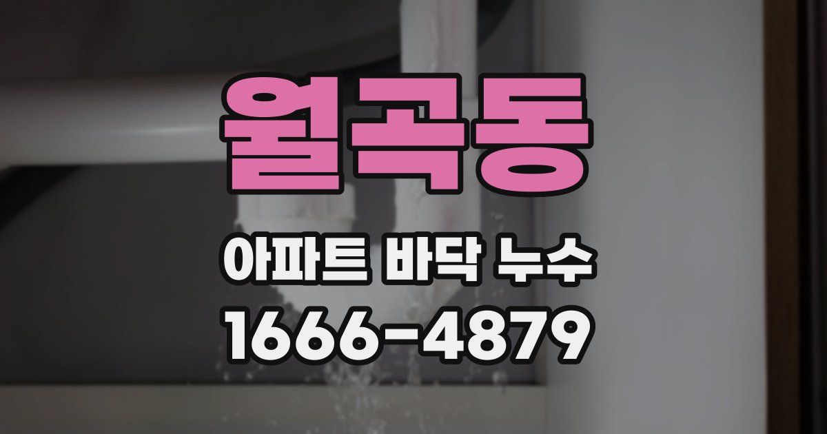 월곡동 아파트 바닥 누수