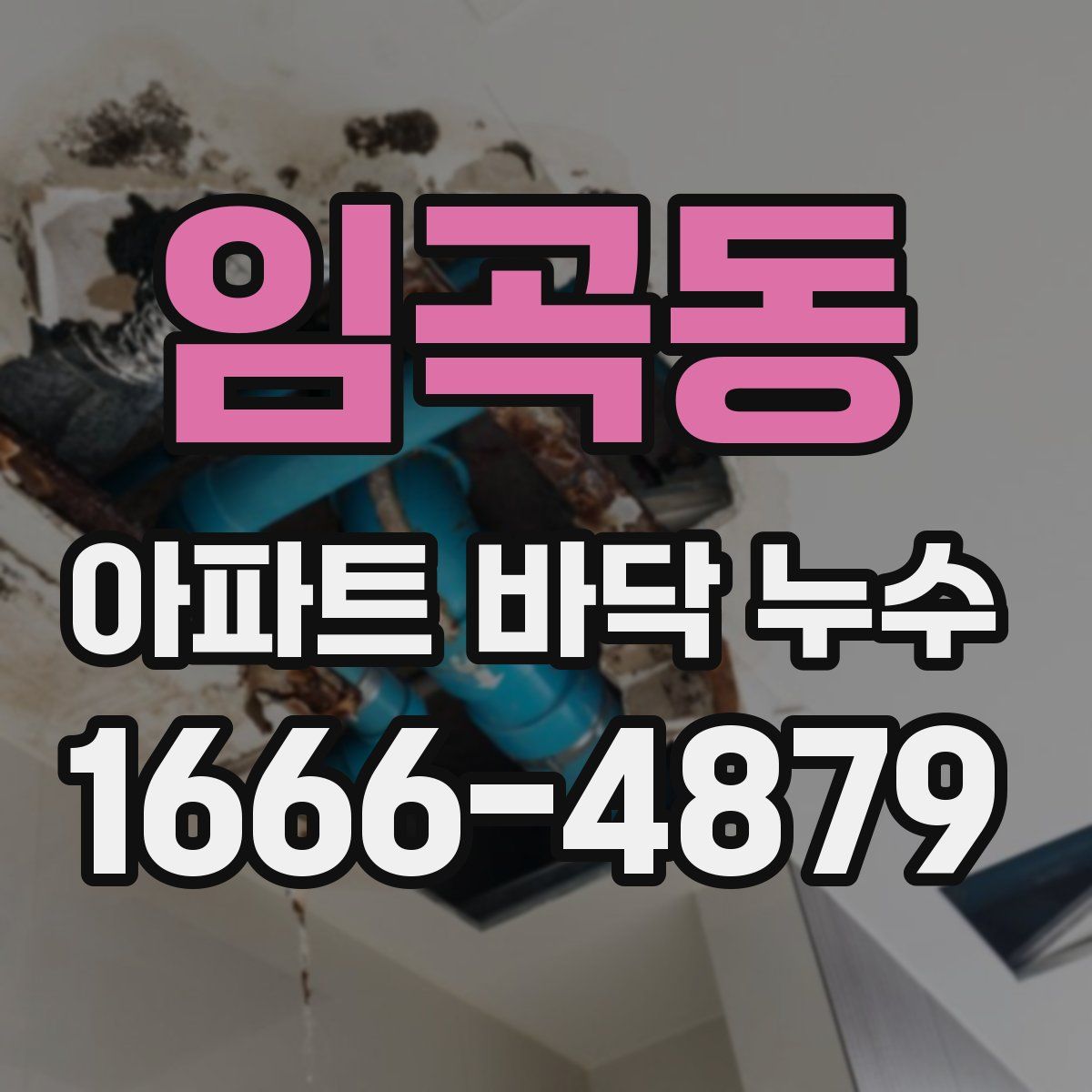 임곡동 아파트 바닥 누수