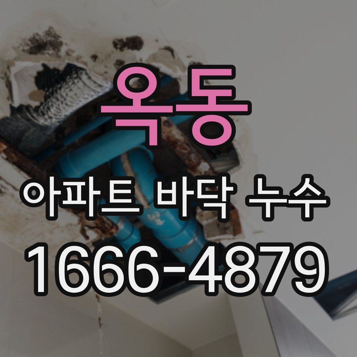 옥동 아파트 바닥 누수