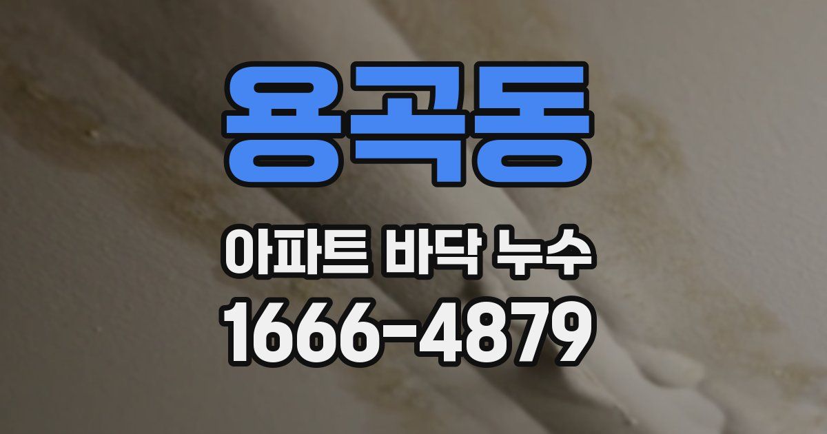 용곡동 아파트 바닥 누수