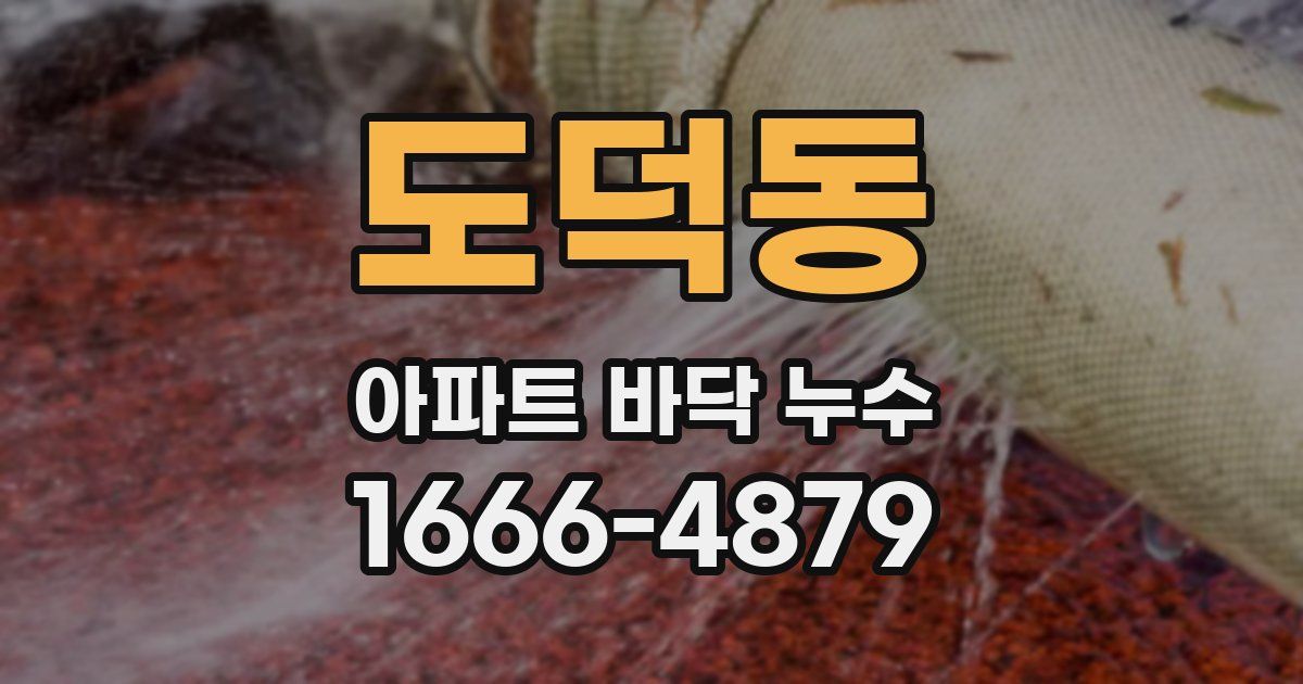 도덕동 아파트 바닥 누수
