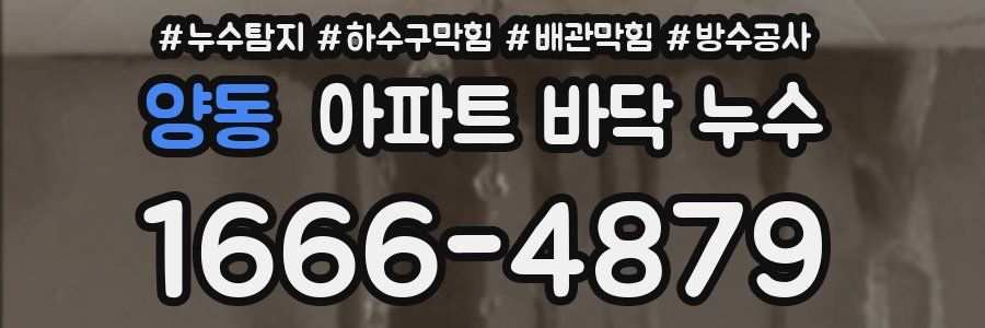 양동 아파트 바닥 누수