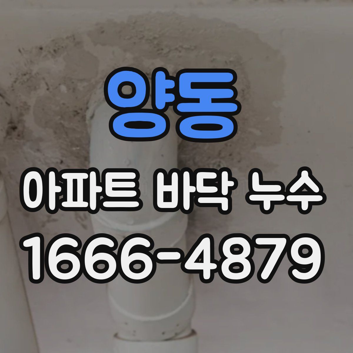 양동 아파트 바닥 누수