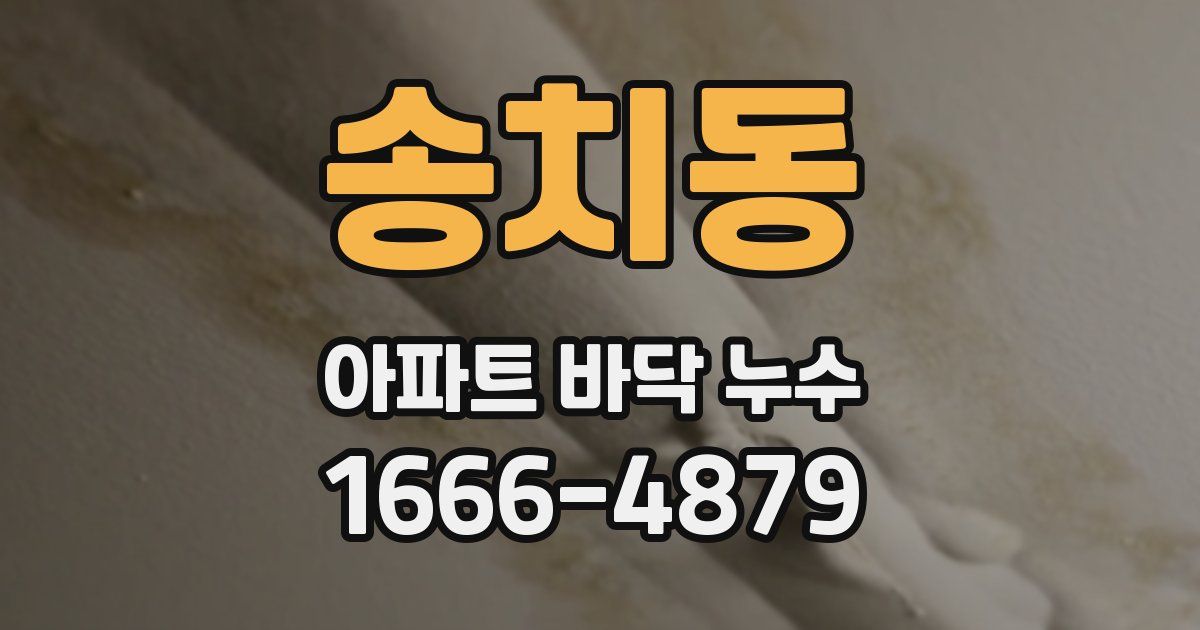 송치동 아파트 바닥 누수