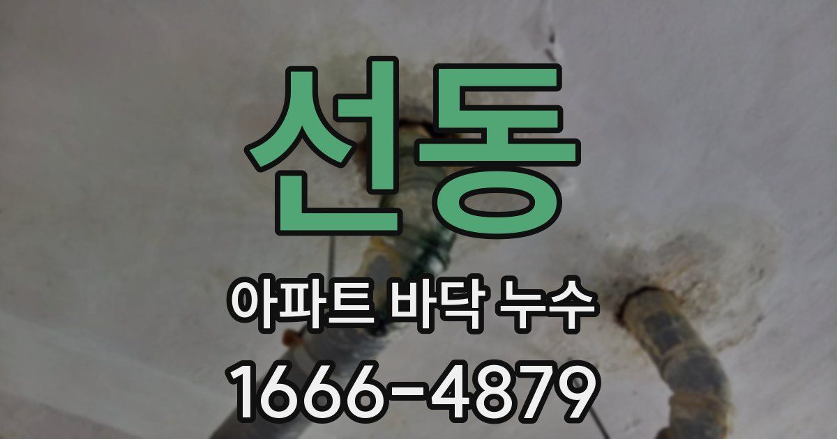 선동 아파트 바닥 누수